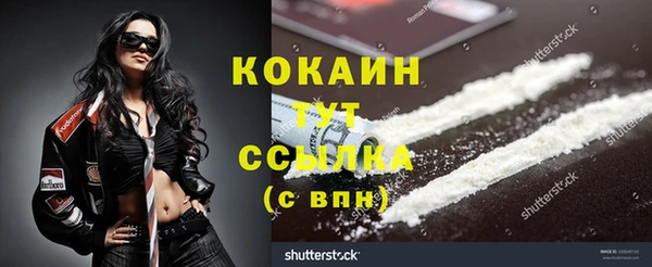 гидра Михайловка