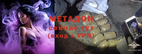 гидра Михайловка
