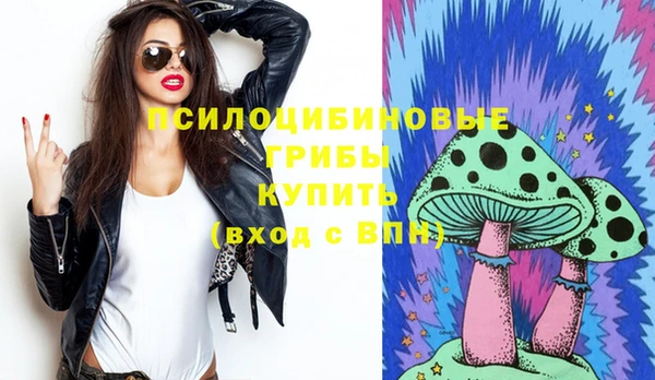 гидра Михайловка