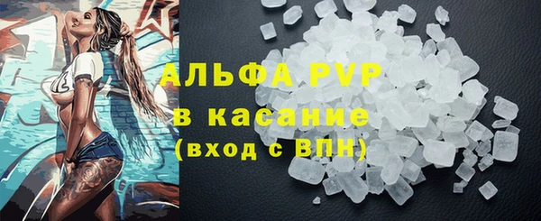 гидра Михайловка