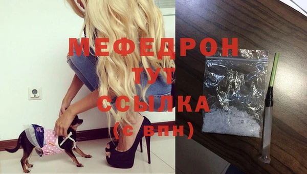 гидра Михайловка