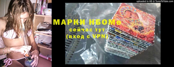 гидра Михайловка