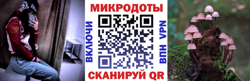 Псилоцибиновые грибы GOLDEN TEACHER  что такое наркотик  Шумиха 